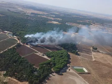 Incendio en Moguer
