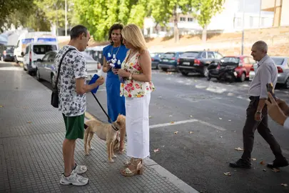 Campa&ntilde;a Limpieza Pis Perros