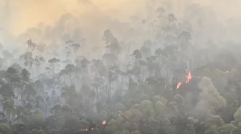 Incendio en Almonaster La Real