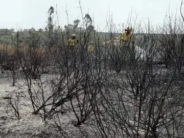 Incendio de El Cerro de And&eacute;valo