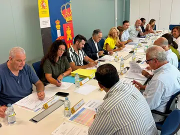 Comisi&oacute;n PFEA.