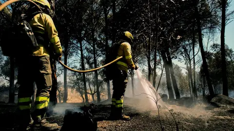 Estabilizaci&oacute;n del incendio de Lucena del Puerto.