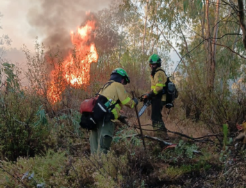 Bomberos trabajando durante el incendio