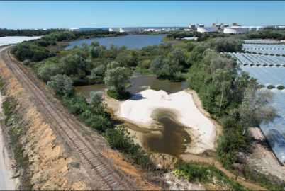 La laguna de Palos