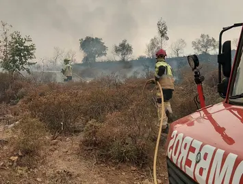 Incendio de Niebla.