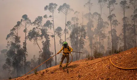 Incendio de Niebla.