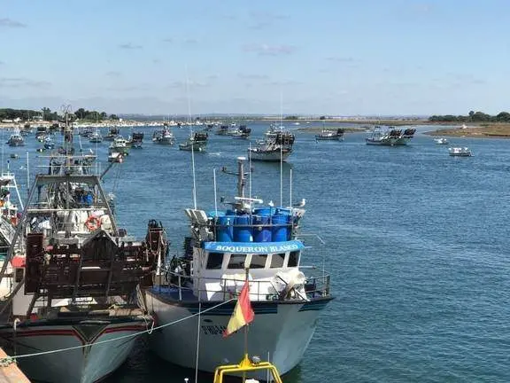 Pesqueros amarrados a puerto