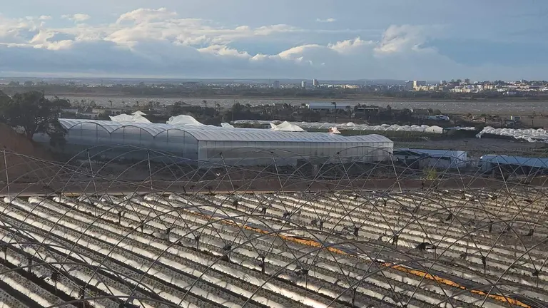 Zona agr&iacute;cola afectada por la borrasca Bernard