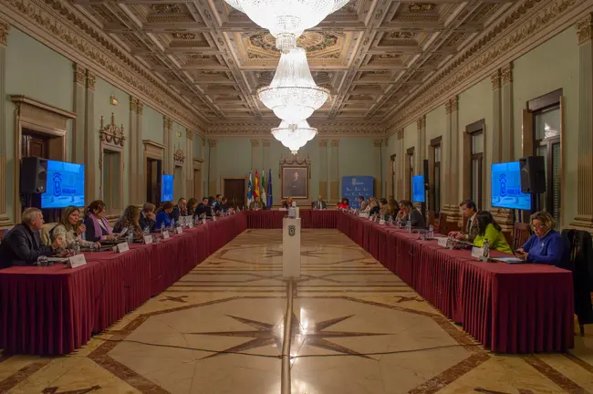 Pleno Extraordinario