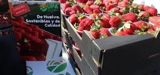 Caja de fresas de Huelva