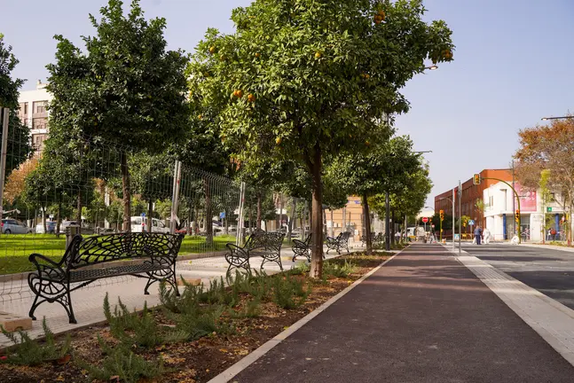 Carril bici por la calle Granada