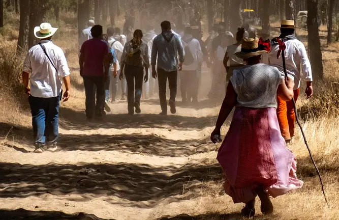 Imagen de los caminos del Roc&iacute;o / Fotograf&iacute;a: Diputaci&oacute;n Provincial de Huelva