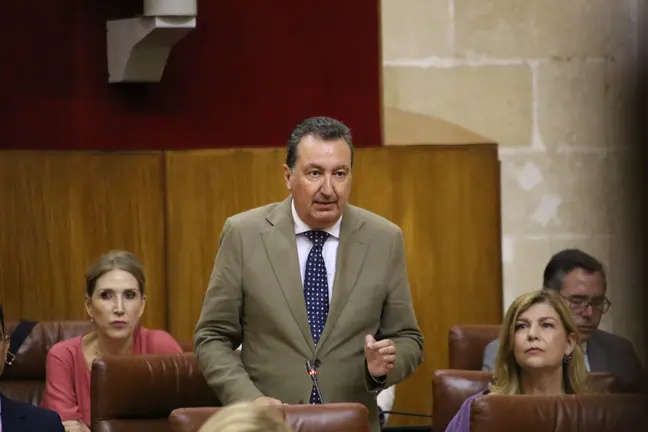 Manuel Andr&eacute;s Gonz&aacute;lez, en el Parlamento Andaluz.