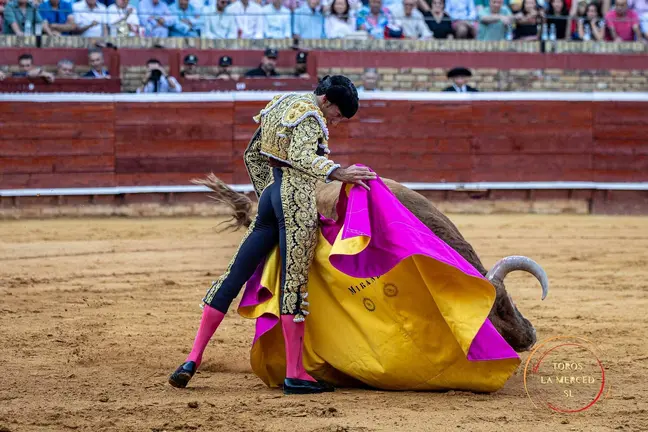 David de Miranda en el d&iacute;a de ayer / Fotograf&iacute;a: Toros La Merced.