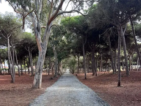 Camino La Redondela