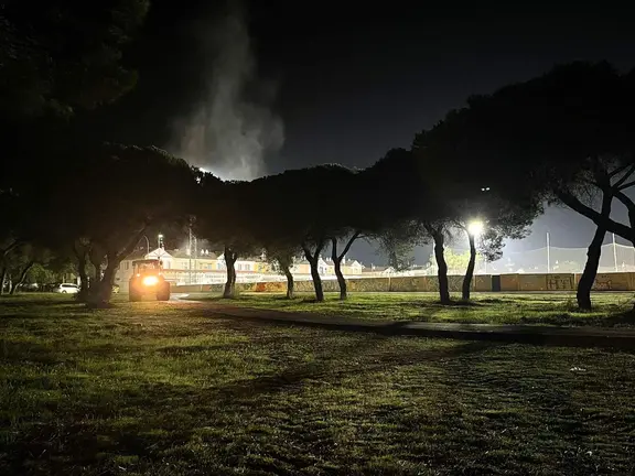 Tratamiento contra la procesionaria en Aljaraque / Fotografía: Ayuntamiento de Aljaraque.
