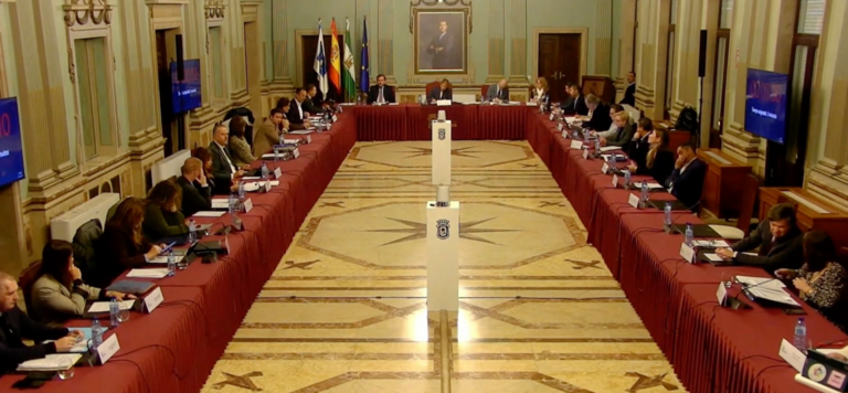 Imagen del pleno de ayer.