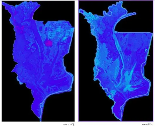 Evoluci&oacute;n del suelo h&uacute;medo Do&ntilde;ana