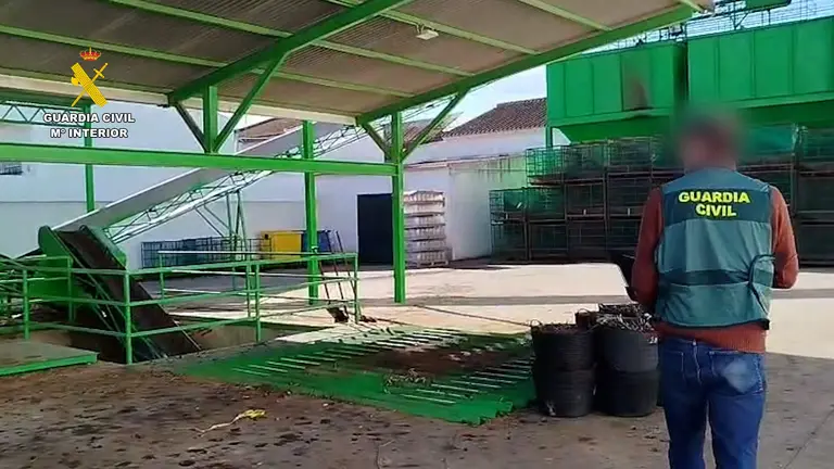 Inspecci&oacute;n almazara.