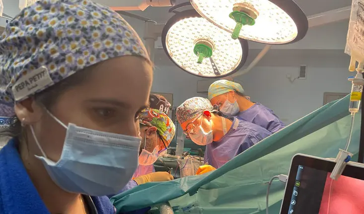 Donaci&oacute;n de &oacute;rganos.