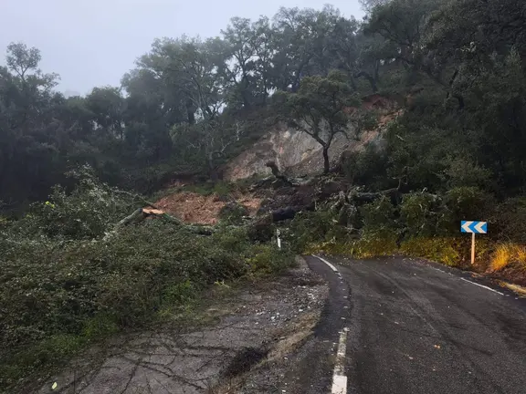 b8273407-da3e-4e6a-b8c1-737f238911ae