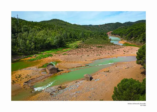 Molinos en el And&eacute;valo onubense.