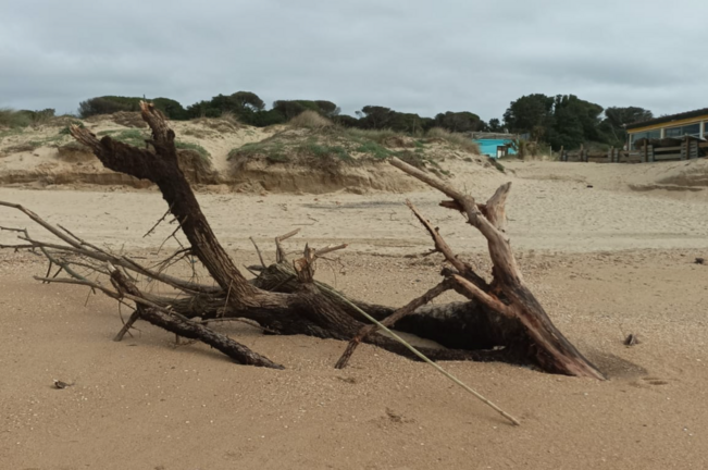 Playas de Punta Umbr&iacute;a.