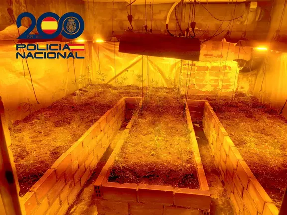 fd1a0d68-f88d-4bfc-b599-623991a2de1d