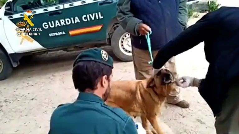 8657da5c-474a-4bc2-8f9a-cda175e7cfbc