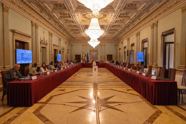 Pleno Sorteo Mesas Electorales