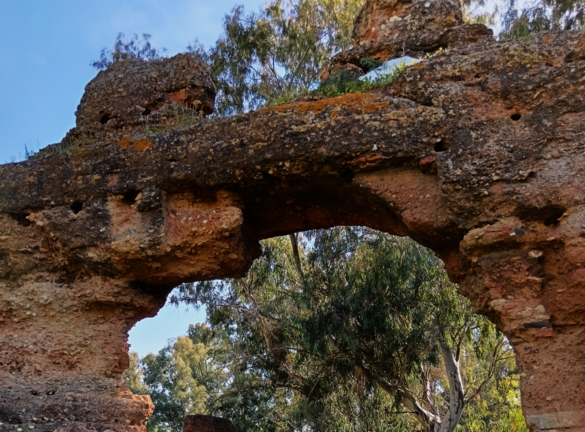 Im&aacute;genes mostradas por Andaluc&iacute;a x s&iacute;.