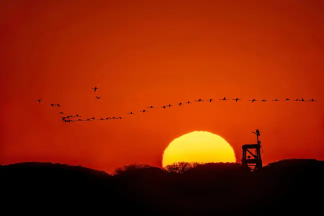 segundo premio -  atardecer en marismas - antonio aguilera silva