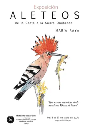 Cartel Aleteos