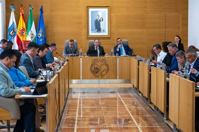 Pleno de la Diputaci&oacute;n