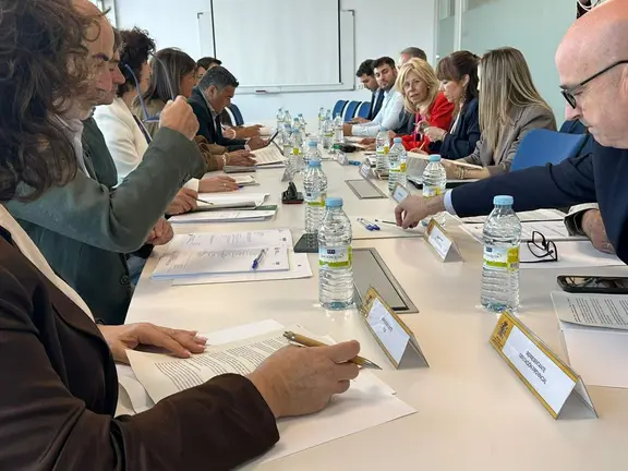 Comisi&oacute;n PFEA 2026.