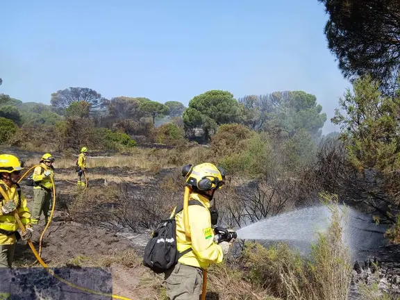 Miembros del Infoca en el incendio de Almonte.
