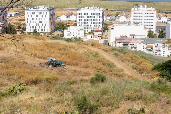 Huelva tiene ejecutado ya el 80% del dispositivo municipal de desbroce para prevenir incendios