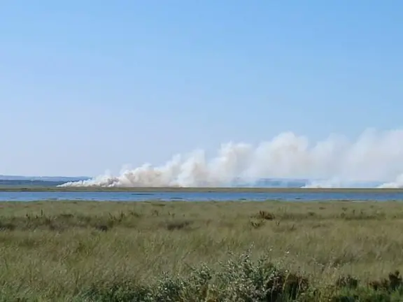 Incendio en Marismas del Burro.