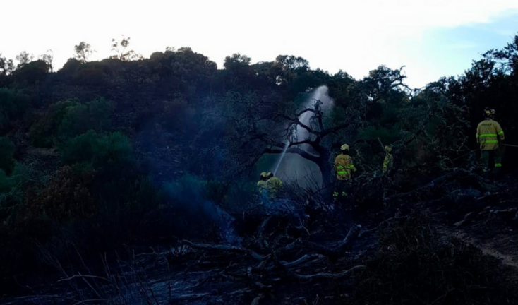 Incendio Alosno.