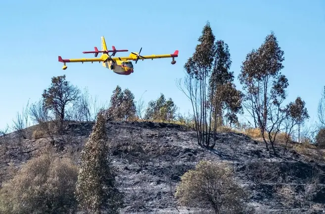 Una aeronave en las labores de extinci&oacute;n.