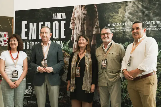 ARACENA EMERGE4