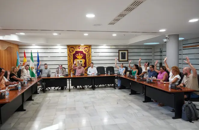 Pleno 18 junio (2)