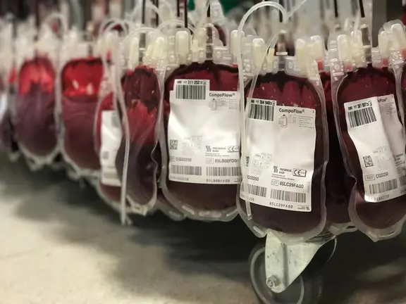 Donaci&oacute;n sangre