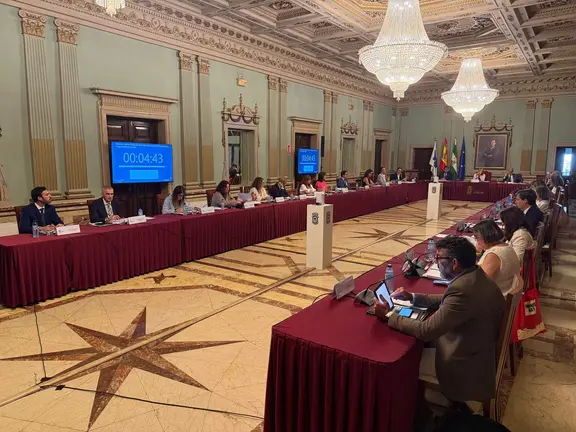 Pleno de junio