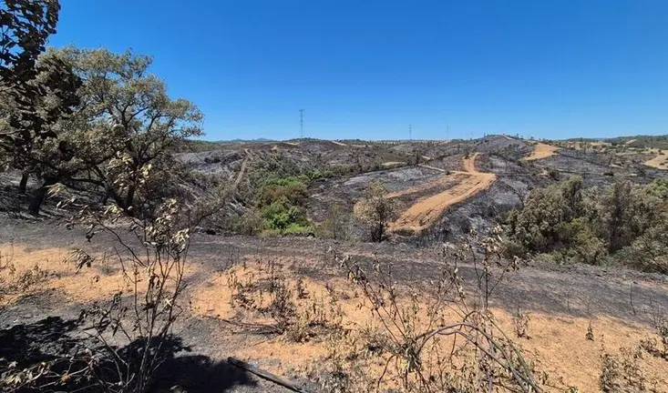 Incendio forestal de Villanueva de los Castillejos