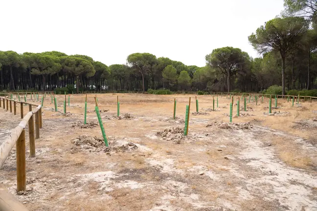 Inauguraci&oacute;n lagunas