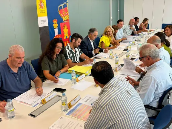 Comisi&oacute;n PFEA.