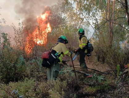 Bomberos trabajando durante el incendio
