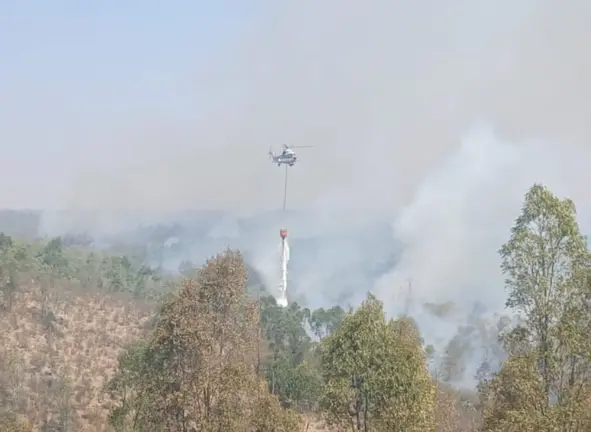 Incendio en Niebla