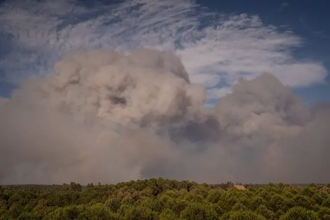 Incendio de Niebla.